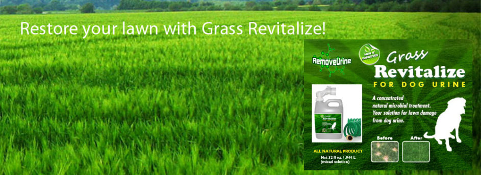 Grass Revitalize