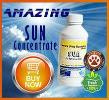 Buy a bottle of SUN now!